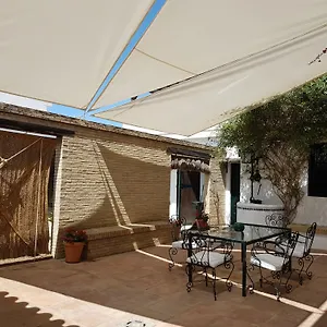 Lince El Rocio